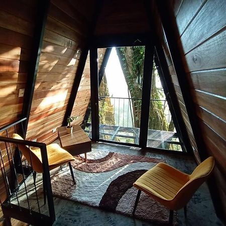 Vila Casa Del Arbol Monteverde Exteriér fotografie
