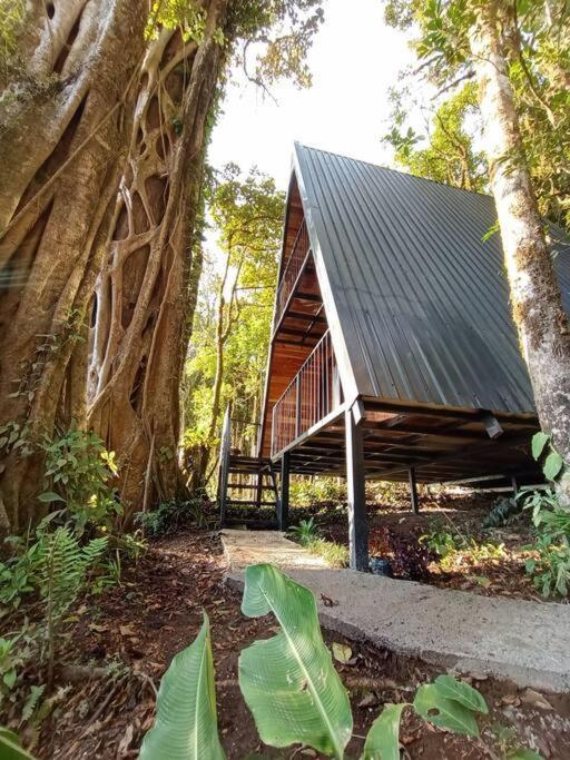 Vila Casa Del Arbol Monteverde Exteriér fotografie
