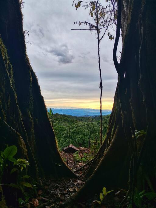 Vila Casa Del Arbol Monteverde Exteriér fotografie
