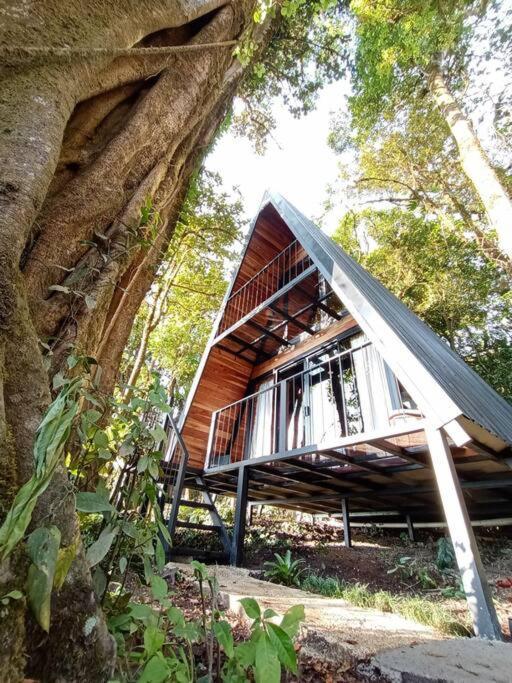 Vila Casa Del Arbol Monteverde Exteriér fotografie